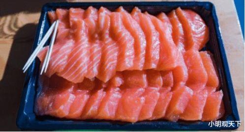 三文鱼最新爆料,揭秘深海中的神秘世界